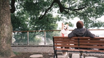 汪汪GO·漫步錢湖 | 尋陶公街市，覽山色湖光